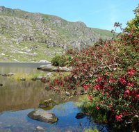 Ireland - Gap of Dunloe (July, 2017)